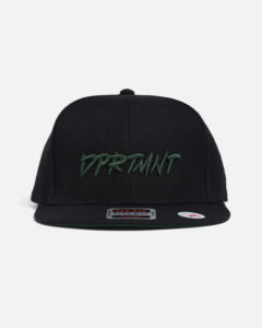 3D Embroidery Snap Back