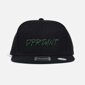 3D Embroidery Snap Back